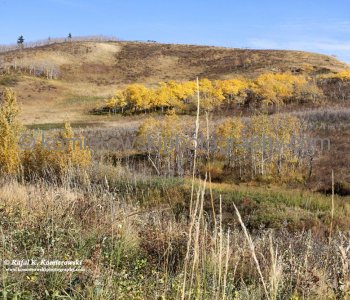 View from Badger Bowl Trail,  Glenbow Ranch Provincial Park