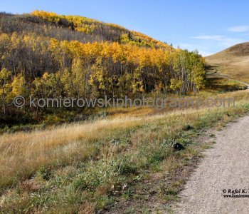 View from Badger Bowl Trail,  Glenbow Ranch Provincial Park
