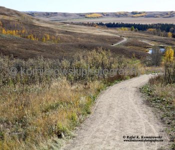 View from Badger Bowl Trail,  Glenbow Ranch Provincial Park