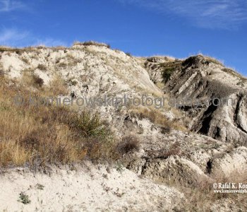 Disturbed areas from the effects of wind and water  lessen soil erosion viewed  from Bowbend Trail (bicycle path),  Glenbow Ranch Provincial Park