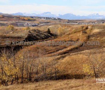 A beautiful example of grass roots (fescue grass) hold and bind the soil together preventing soil erosion.  View  from Bowbend Trail (bicycle path),  Glenbow Ranch Provincial Park