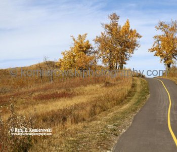 Glenbow Trail (bicycle path), Glenbow Ranch Provincial Park    (all photos taken on Saturday, October 8, 2011)