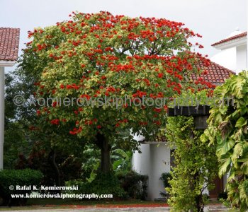 Residential area known as Playacar is an important tourist development on the Riviera Maya