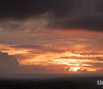 Saturday, November 5, 2011 – Day 9, Atlantic Ocean, sailing to Freeport, Bahamas, 26^ 41’ 28” N,  42^59’ 53” West  -  at 15:06 speed 21.80 kn= 40.52 km/h, wind left front 31kn=59 km/h, temp. +25C, ONE HOUR BACK