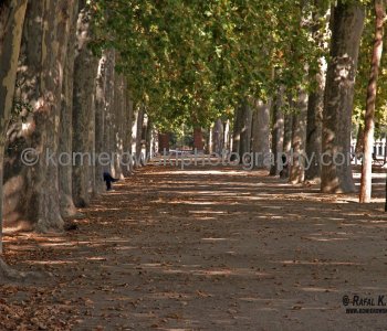 The Royal Palace of Aranjuez , huge gardens are Spain s most important of the Habsburg period, UNESCO World Heritage Site