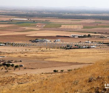 View from windmills site in Consuegra