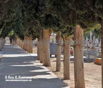 Cemetery- Alcázar de San Juan, La Mancha, Spain