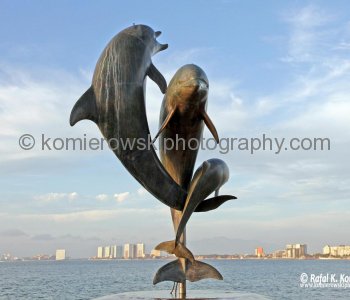 The Colunga Collection. El Malecon Blvd. Puerto Vallarta