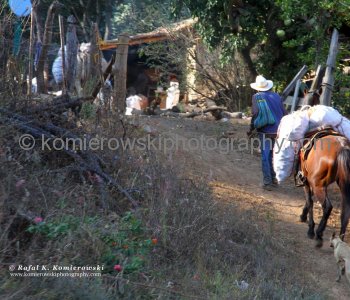 Sierra Madre Occidental off the Beaten Path, Jalisco, Mexico