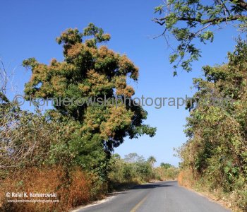 Country Road in Sierra Madre Occidental, Jalisco, Mexico