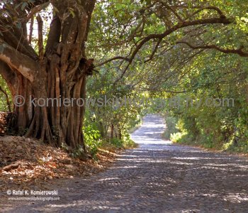 Old cobblestone road leading to town San Sebastián del Oeste in Sierra Madre Occidental