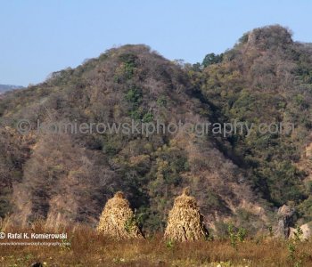 The Sierra Madre Occidental mountains dotted with farming and ranching villages....