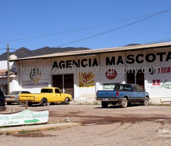 Mascota is one of the most representative areas of rural Mexico....