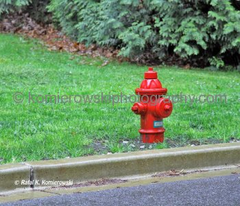 Stanley Park, Vancouver, BC,