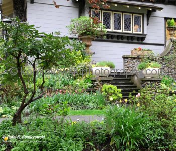 Near Stanley Park, Vancouver, BC,