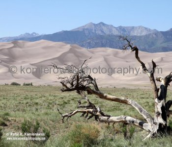 Then Capt. John Gunnison of the U.S. Topographical Engineers crossed part of the dunefield on horseback in 1853...