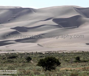 Water is the lifeblood of the Great Sand Dunes....please remember this area is above over 8500 (2600m)  feet above sea level and sand gets hot 140F!