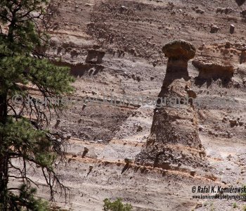 The hoodoos, erosional cones, and pedestal rocks that characterize Tent Rocks form as the result of differential erosion ..