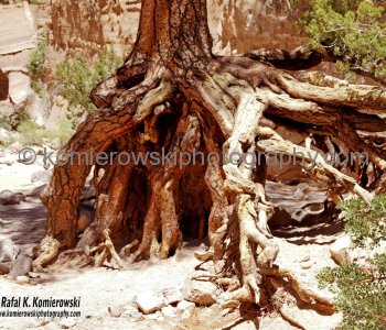 Kasha-Katuwe Tent Rocks National Monument is a Bureau of Land Management (BLM) managed site