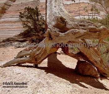 Kasha-Katuwe Tent Rocks National Monument, New Mexico, USA
