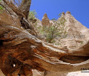 Kasha-Katuwe Tent Rocks National Monument, New Mexico, USA