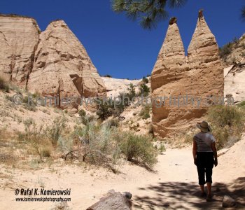 The hoodoos, erosional cones, and pedestal rocks that characterize Tent Rocks form as the result of differential erosion ..