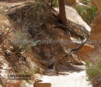 Kasha-Katuwe Tent Rocks National Monument, New Mexico, USA