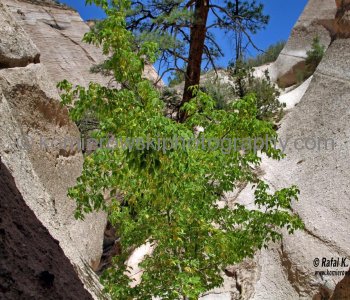Kasha-Katuwe Tent Rocks National Monument, New Mexico, USA