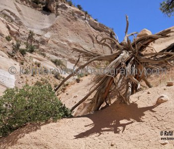 Kasha-Katuwe Tent Rocks National Monument, New Mexico, USA