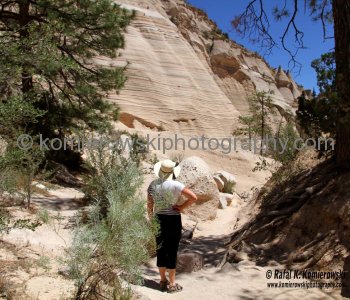 Kasha-Katuwe Tent Rocks National Monument, New Mexico, USA