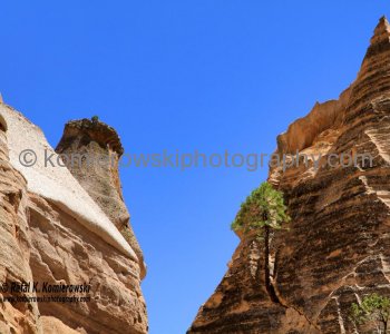 Kasha-Katuwe Tent Rocks National Monument, New Mexico, USA