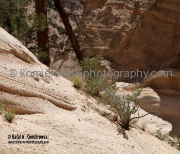 Kasha-Katuwe Tent Rocks National Monument, New Mexico, USA
