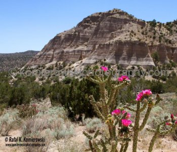 Kasha-Katuwe Tent Rocks National Monument is located approximately 40 miles southwest of Santa Fe and 55 miles northeast of Albuquerque