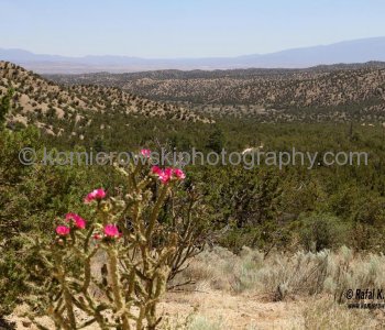 Kasha-Katuwe Tent Rocks National Monument is located approximately 40 miles southwest of Santa Fe and 55 miles northeast of Albuquerque