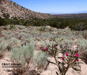 Kasha-Katuwe Tent Rocks National Monument is located approximately 40 miles southwest of Santa Fe and 55 miles northeast of Albuquerque
