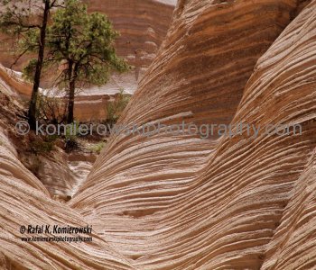 Kasha-Katuwe Tent Rocks National Monument, New Mexico, USA