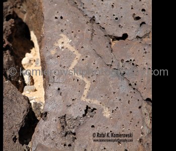 Petroglyph National Monument, Albuquerque, New Mexico