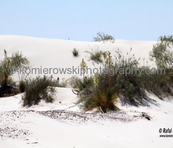 In the flat Tularosa Basin, where for thousands of years the prevailing westerly winds have deposited gypsum powder - formerly eroded from the nearby San Andres Mountains