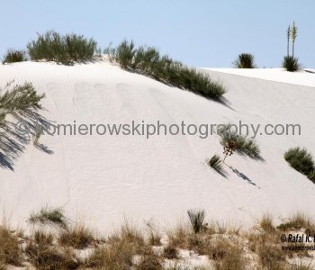 White Sands National Monument is a unique geological environment due to the fact that the sand dunes are composed of gypsum grains (quartz grains)