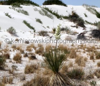 White Sands National Monument, New Mexico