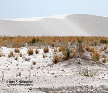 White Sands National Monument, New Mexico