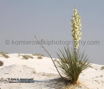 White Sands National Monument, New Mexico