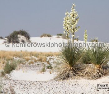 White Sands National Monument, New Mexico