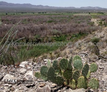 Rio Grande viewed from  scenic drive Texas FM170