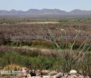 Rio Grande viewed from  scenic drive Texas FM170