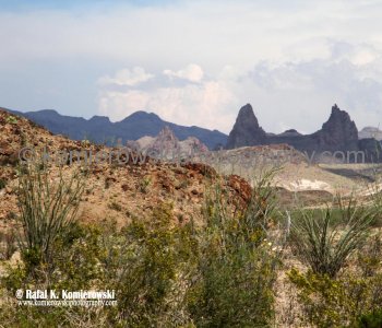 Big Bend NP...the land is more than desert or rock.....