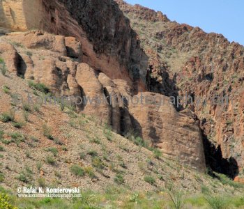 Big Bend NP...the land is more than desert or rock.....
