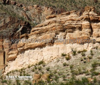 Big Bend NP...the land is more than desert or rock.....