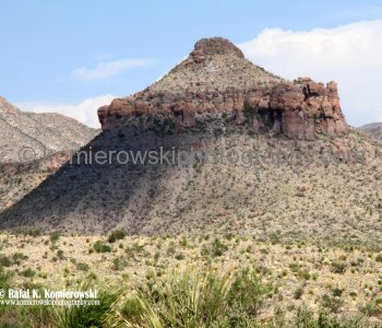 Big Bend NP...the land is more than desert or rock.....
