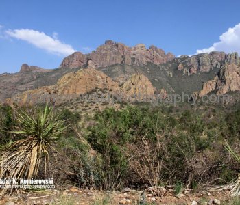 Big Bend NP...the land is more than desert or rock.....